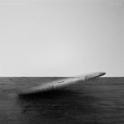A black and white image of a CD lying on a wooden surface.