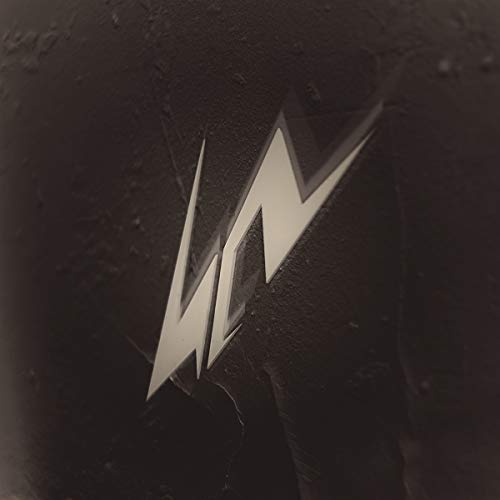 A close-up of a black vinyl record with a silver 'LM' logo.