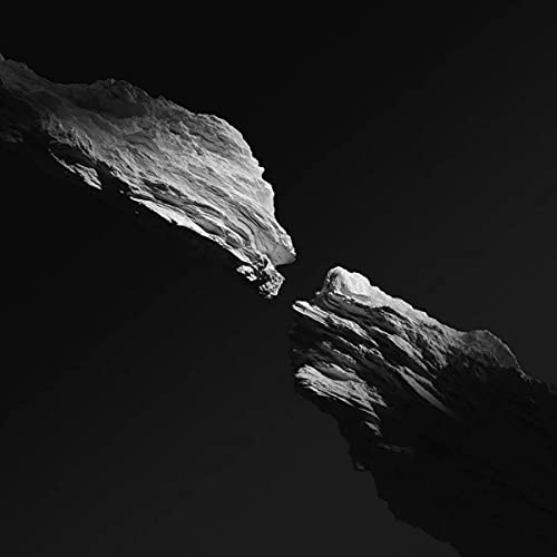 Kinkajous - Being Waves [VINYL]