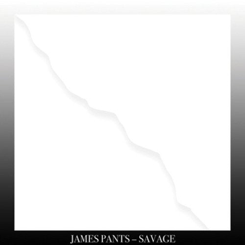 A vinyl record cover with a white background and a torn edge effect.