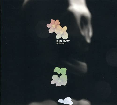In The Country - Whiteout [CD]