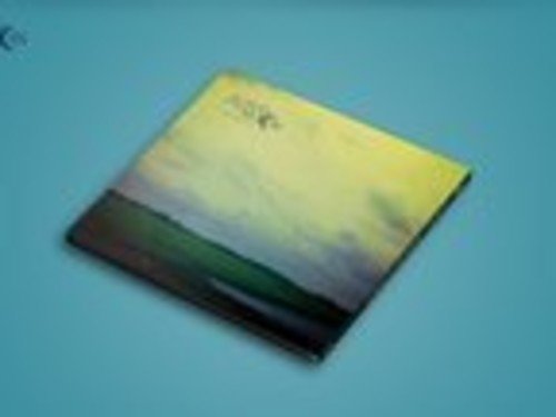 "Album cover with cloudy sky and green field, titled 'Echoes of the Moon: Entropy'."