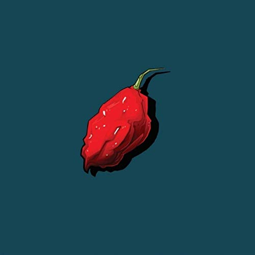 A red chili pepper with a green stem on a teal background.