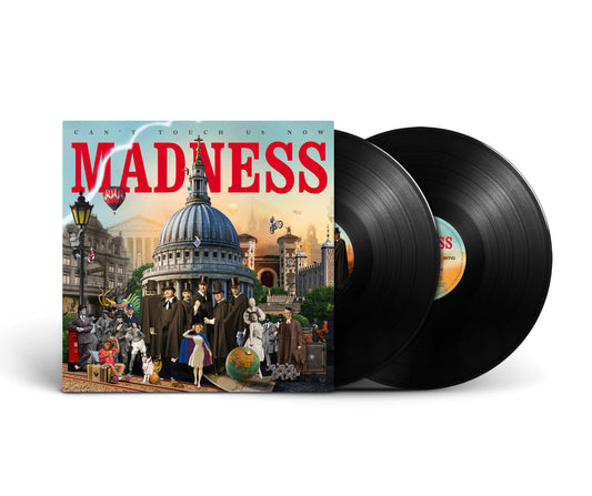 "Vinyl record album cover with 'Madness' title and collage artwork, two black vinyl records."