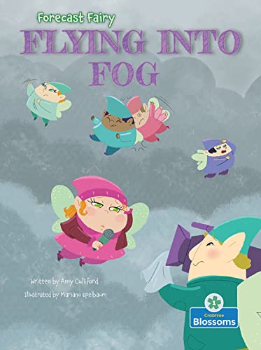 Flying Into Fog (Forecast Fairy)