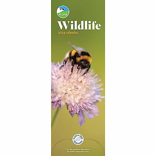 Carousel Calendars RSPB Wildlife Slim Calendar 2024