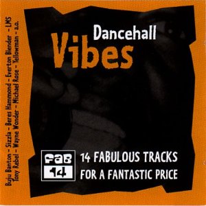 "CD cover with 'Dancehall Vibes' title on orange background with black torn center."