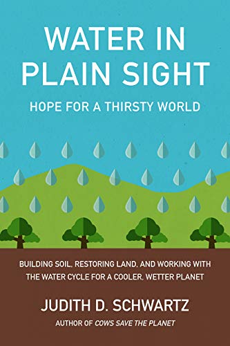 Water in Plain Sight:Hope for a Thirsty World