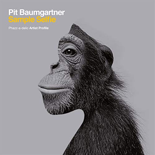 Pit Baumgartner - Sample Selfie  [VINYL]