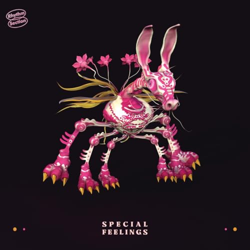 Various - SPECIAL FEELINGS [VINYL]