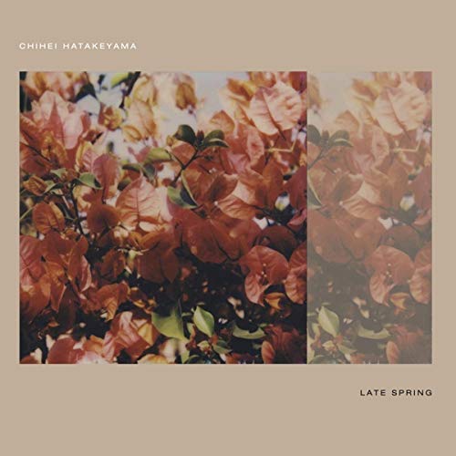 Hatakeyama Chihei - Late Spring [CD]