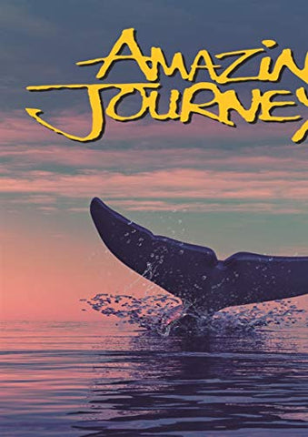 Amazing Journeys [DVD]