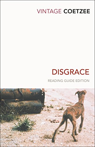 Book cover with a dog and rusty metal on sandy ground, titled "Disgrace".