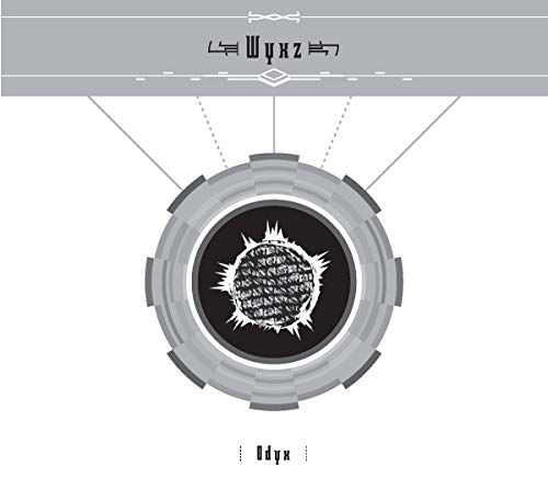 The image depicts a CD with a black center and gray border, surrounded by a gray case.