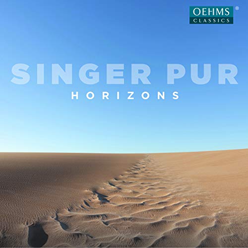 "Album cover with desert sand and blue sky, titled 'Singer Pur: Horizons'."
