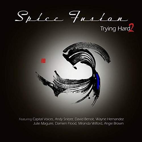 "Black album cover with white text, featuring abstract black brushstroke design and artist names."