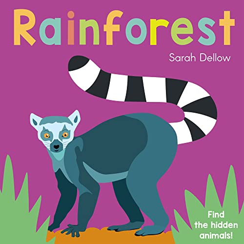 Now you See It! Rainforest: 4 (Now You See It!, 4)