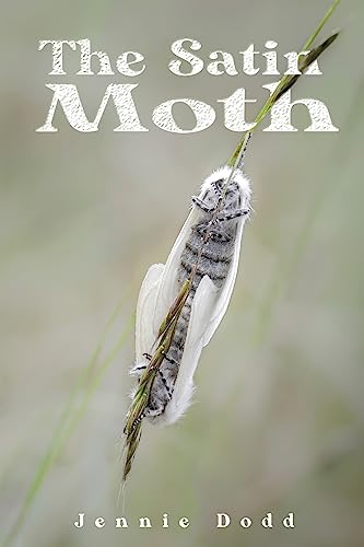 The Satin Moth