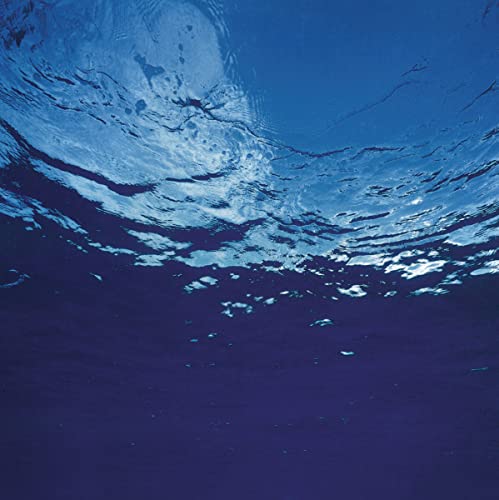 Various - Marine Flowers [VINYL]