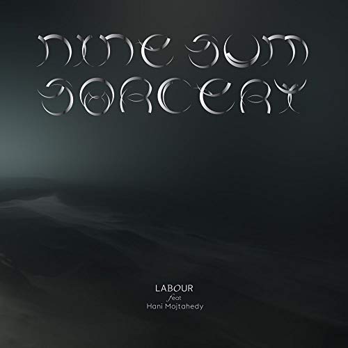 Labour Feat. Hani Mojtahedy - nine-sum sorcery [VINYL]