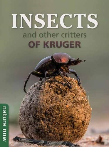 Insects and other Critters of Kruger (Nature Now)