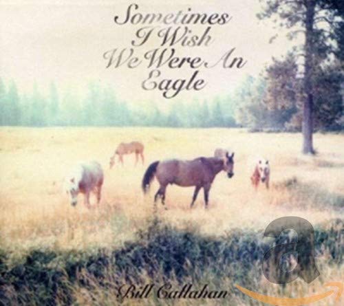Bill Callahan - Sometimes I Wish I Were An Eagle [CD]