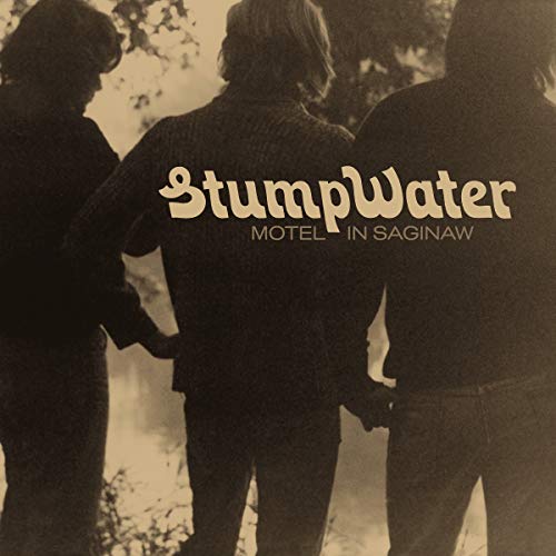 Stumpwater - Motel In Saginaw [VINYL]
