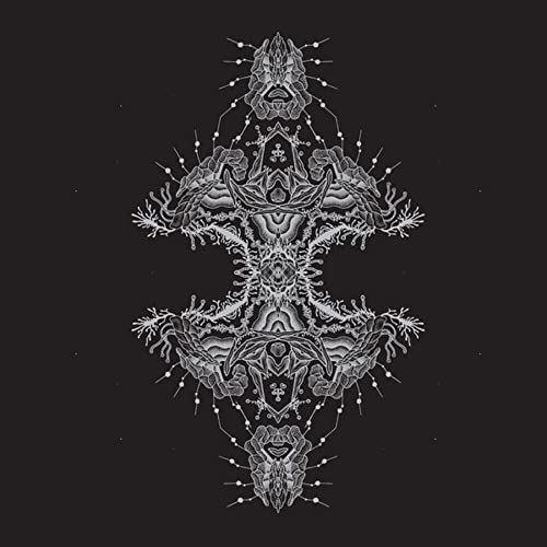 Pfirter - ALTERED STATES [VINYL]