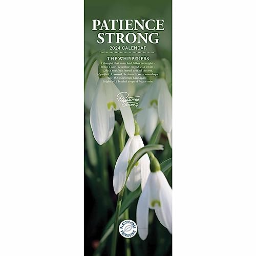 Patience Strong Slim Calendar 2024