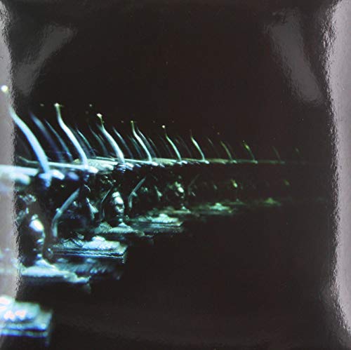 Various - Ellipsis [VINYL]