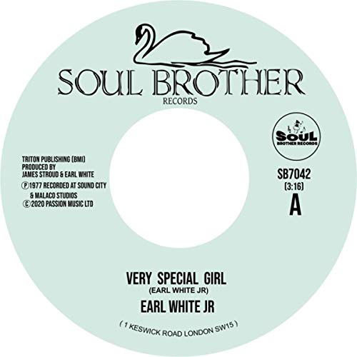 Mint green vinyl record label with black text and swan logo.