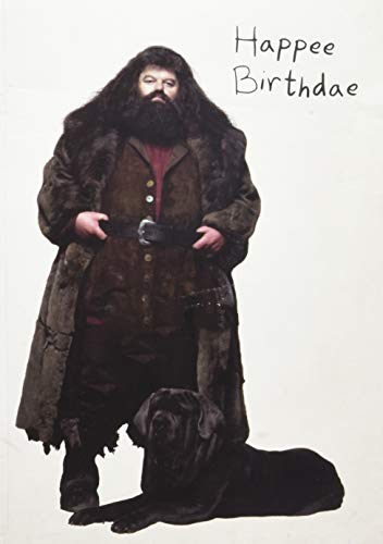 Harry Potter: Hagrid's Cake Pop-Up Card (Stationery)