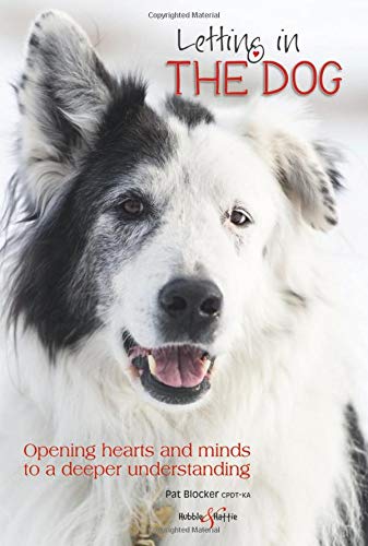 Letting in the dog: Opening hearts and minds to a deeper understanding