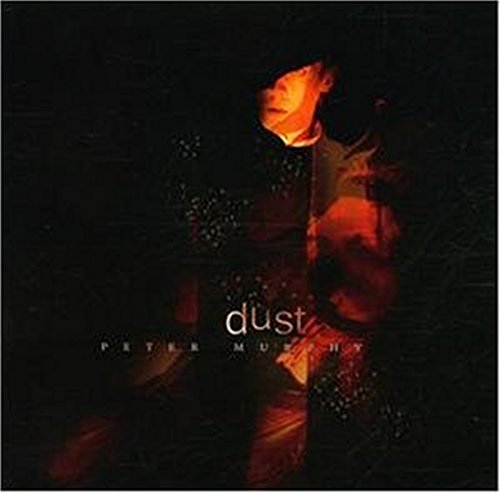 "Album cover with dark background, orange rose, and 'dust' and 'Peter Murphy' text."