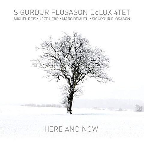 Sigurdur Flosason Delux 4tet - Here And Now [CD]