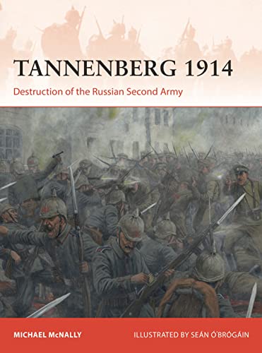 Tannenberg 1914: Destruction of the Russian Second Army: 386 (Campaign)