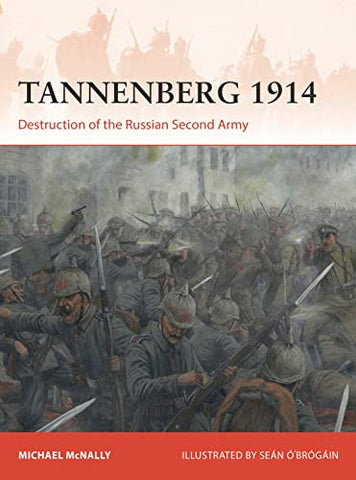 Tannenberg 1914: Destruction of the Russian Second Army: 386 (Campaign)