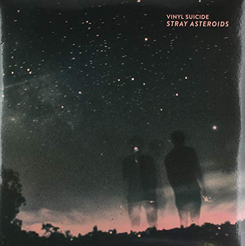 Various - Stray Asteroids [VINYL]