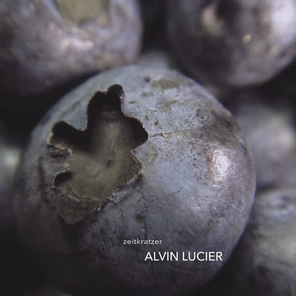 Various - Alvin Lucier [VINYL]