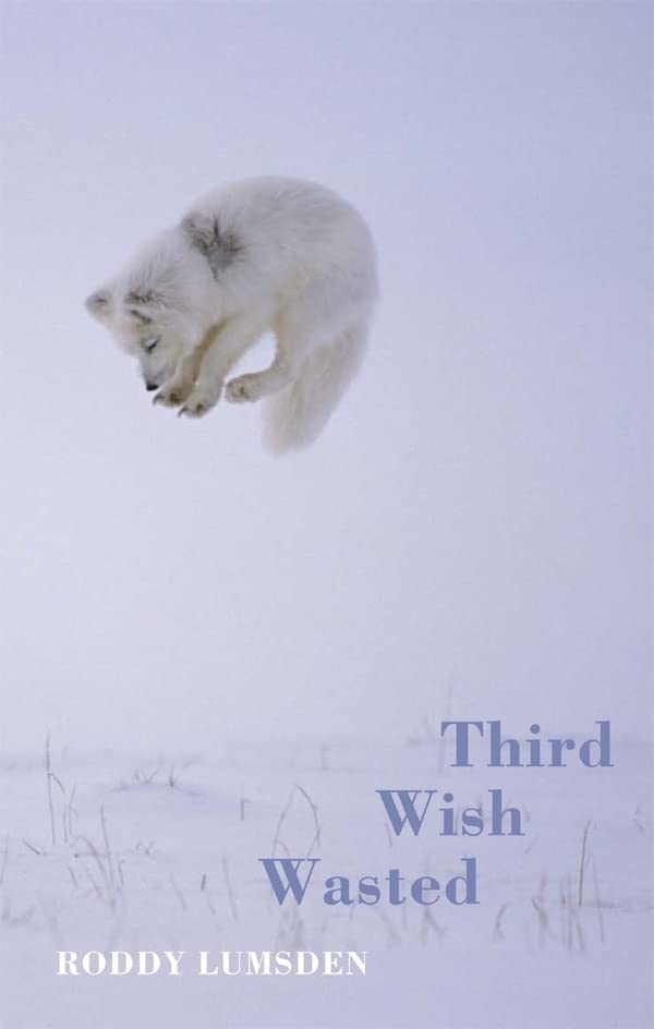 Third Wish Wasted