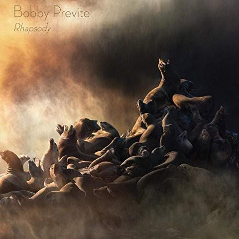 Bobby Previte - Rhapsody [VINYL]