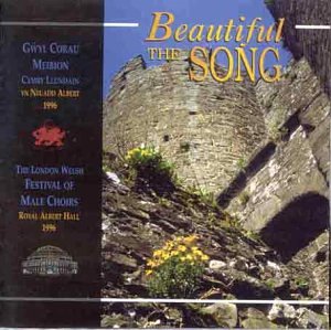 CD cover with stone wall and flowers, titled "Beautiful the Song" in yellow text.
