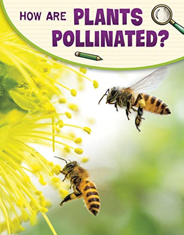 How Are Plants Pollinated? (Science Enquiry)