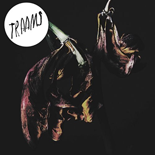 "Album cover with wilted flowers against a black background and 'Traams' in a white circle."