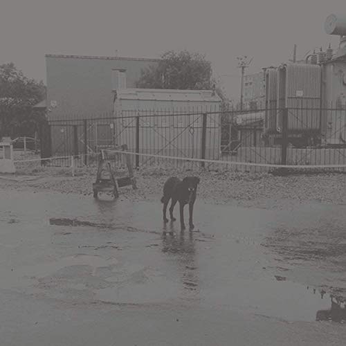 Various - After Its Own Death / Walking In A Spiral Towards The House [VINYL]