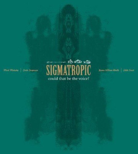 Sigmatropic - Could That Be The Voice [12"] [VINYL]