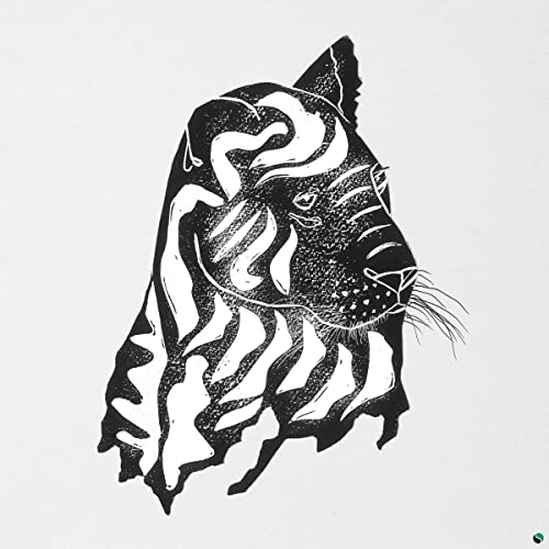 Alpha Steppa & Awa Fall - What a Joy [VINYL]