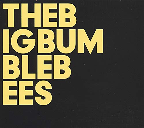 Black vinyl record sleeve with yellow text reading "THE BIG BUMBLE BEES" on a black background.
