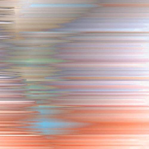 Function - Awakening From The Illusory Self [VINYL]
