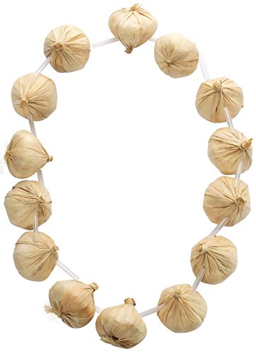 Smiffys Garlic Garland on Necklace
